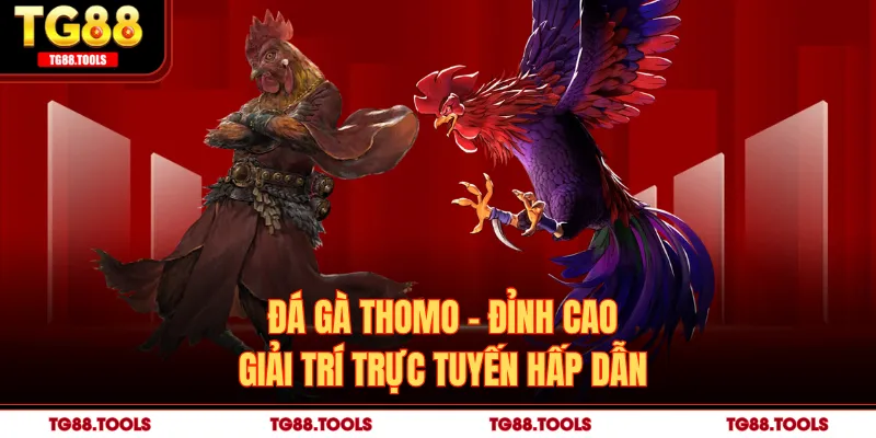 Đá Gà Thomo - Đỉnh Cao Giải Trí Trực Tuyến Hấp Dẫn